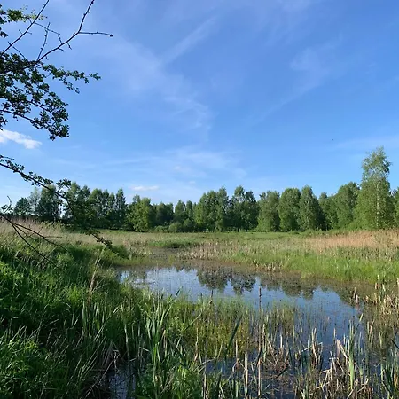 Zielona Zaba