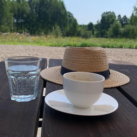 Zielona Zaba